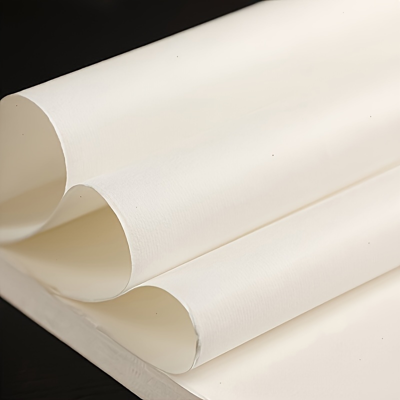 100/200 Pcs of Half-Cooked Chi - Ink Blotter Paper review and price